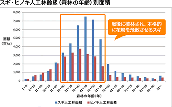 スギ・ヒノキ人工林齢級(森林の年齢)別面積